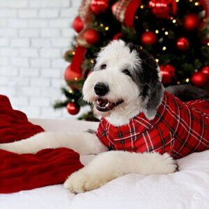 Merry Lane | Red and Black Plaid Christmas Pet Pajamas | Size Large